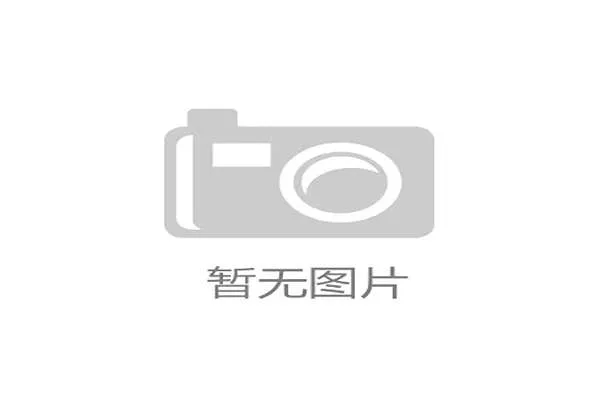 加纳能否延续黑马传奇 2026世界杯非洲劲旅的晋级之路与战术悬念